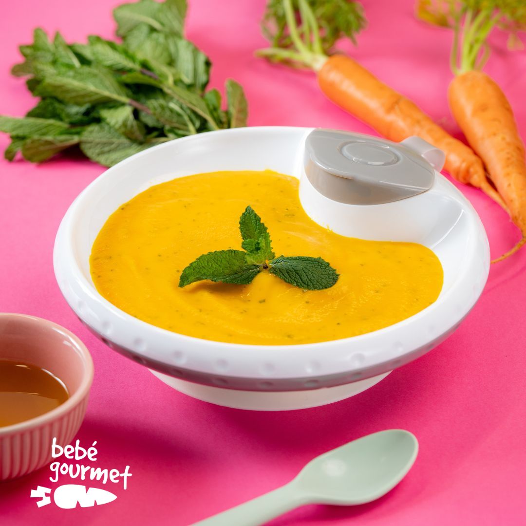 Sopa de Cenoura com Hortelã (6+)